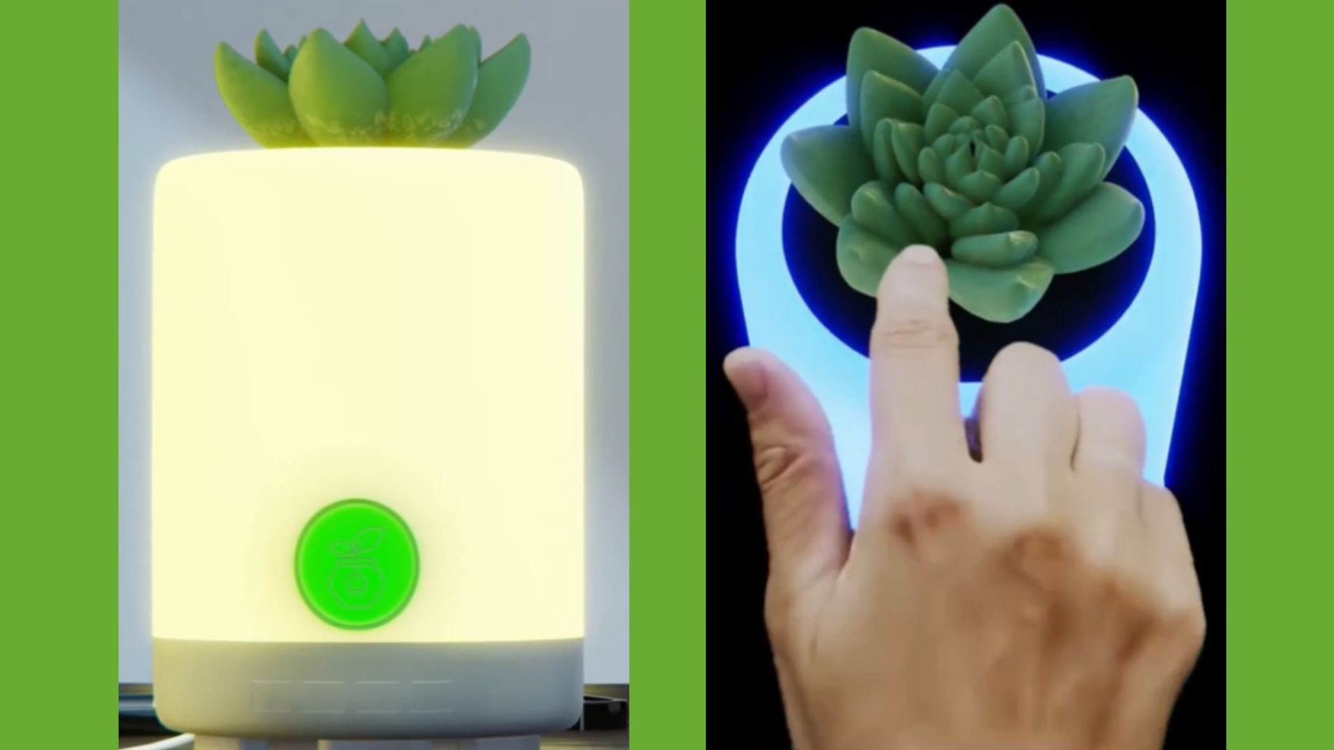 🌿 ¿Las plantas generan electricidad? La ciencia confirma que sí, y podrían iluminar el futuro