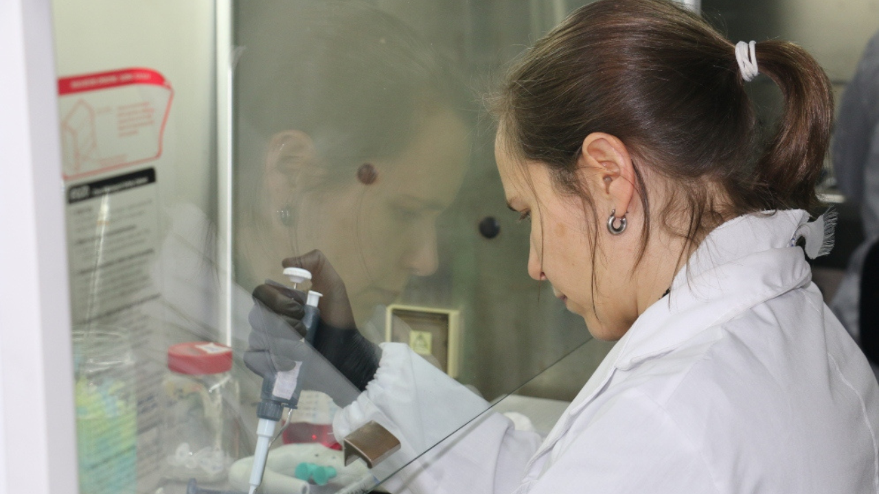 La Universidad Nacional de San Juan lidera un programa científico para la minería sustentable