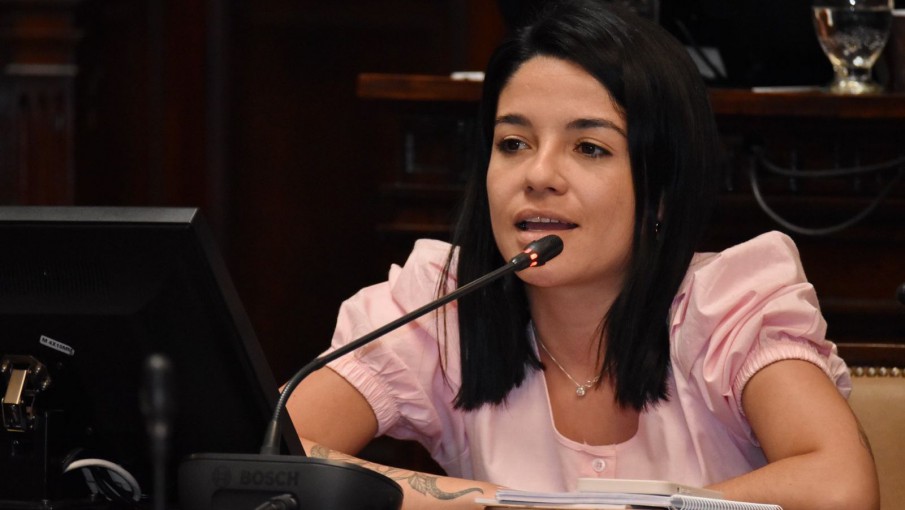 La diputada Sol Salinas dijo en Argentina Mining que PSJ Cobre tendrá una resolución expedita