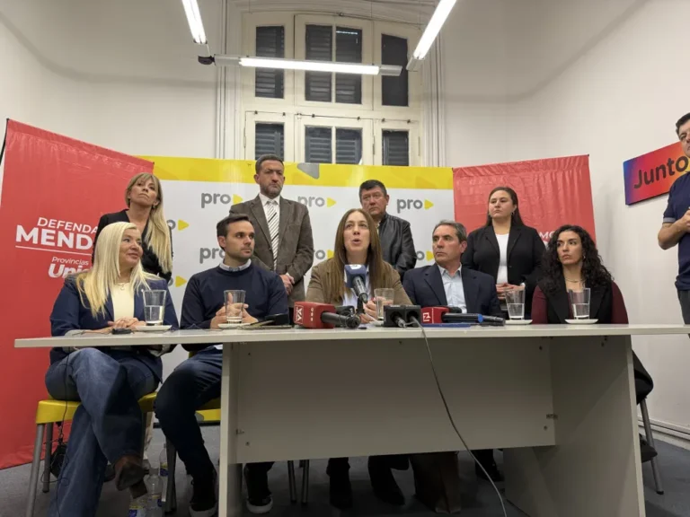 Vidal se declaró a favor de la minería en Mendoza