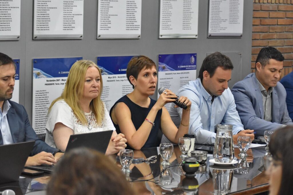 El Gobierno de Mendoza expuso el proyecto Malargüe DMO y confía en que el aval legislativo se concrete a fin de año