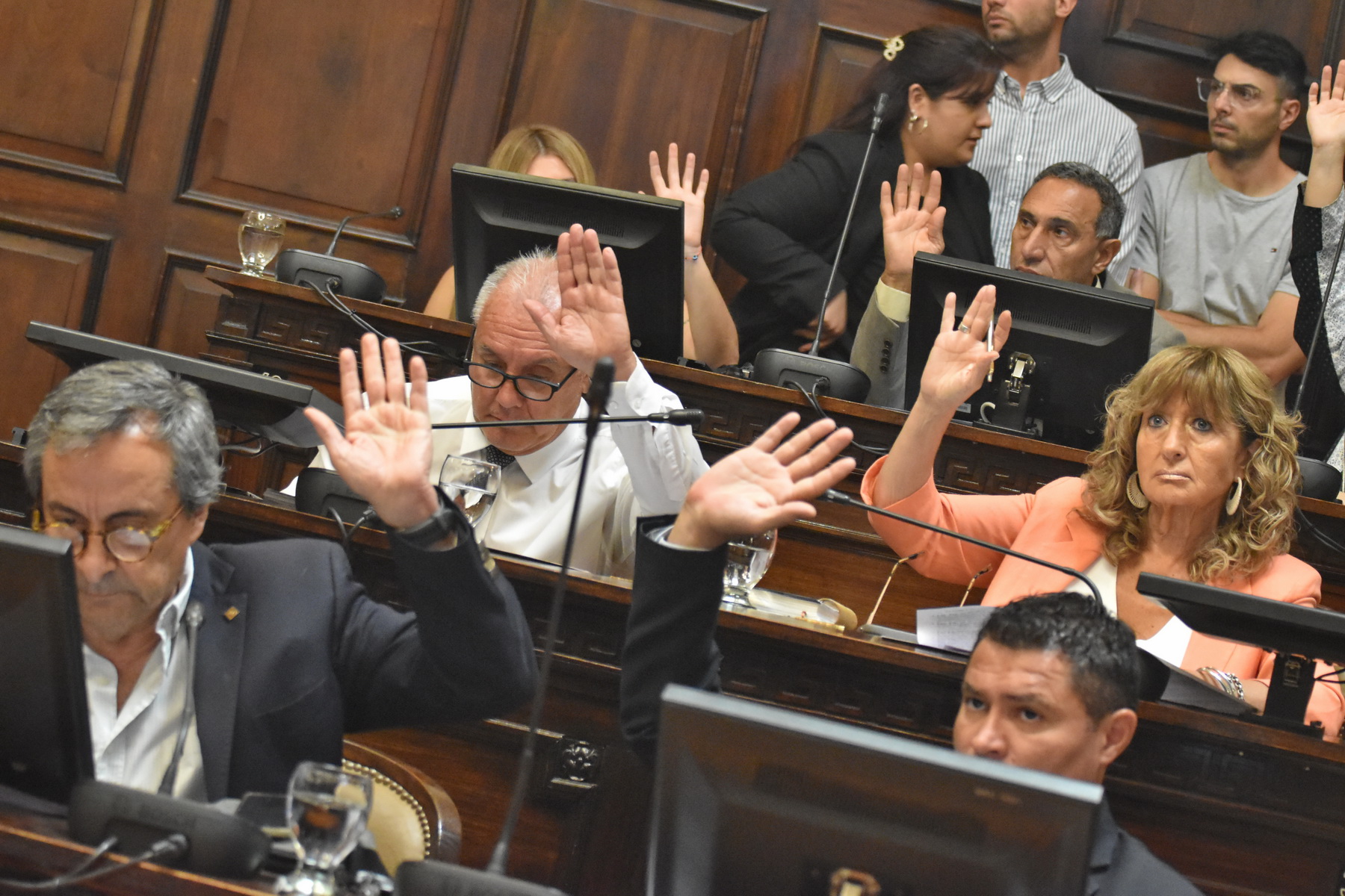 Mendoza dio media sanción al proyecto PSJ Cobre Mendocino y el gobernador Cornejo festejó en las redes