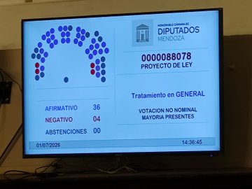 La Legislatura de Mendoza ratificó la DIA del proyecto de litio Don Luis y Otro en el sur