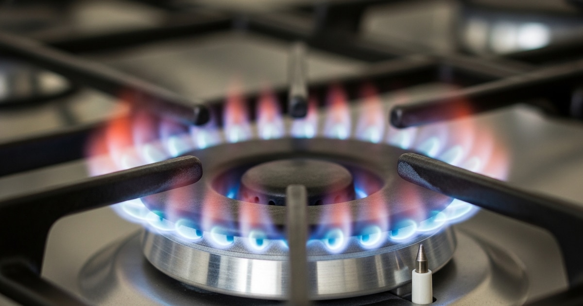 El precio del gas se actualizará cada dos meses desde agosto
