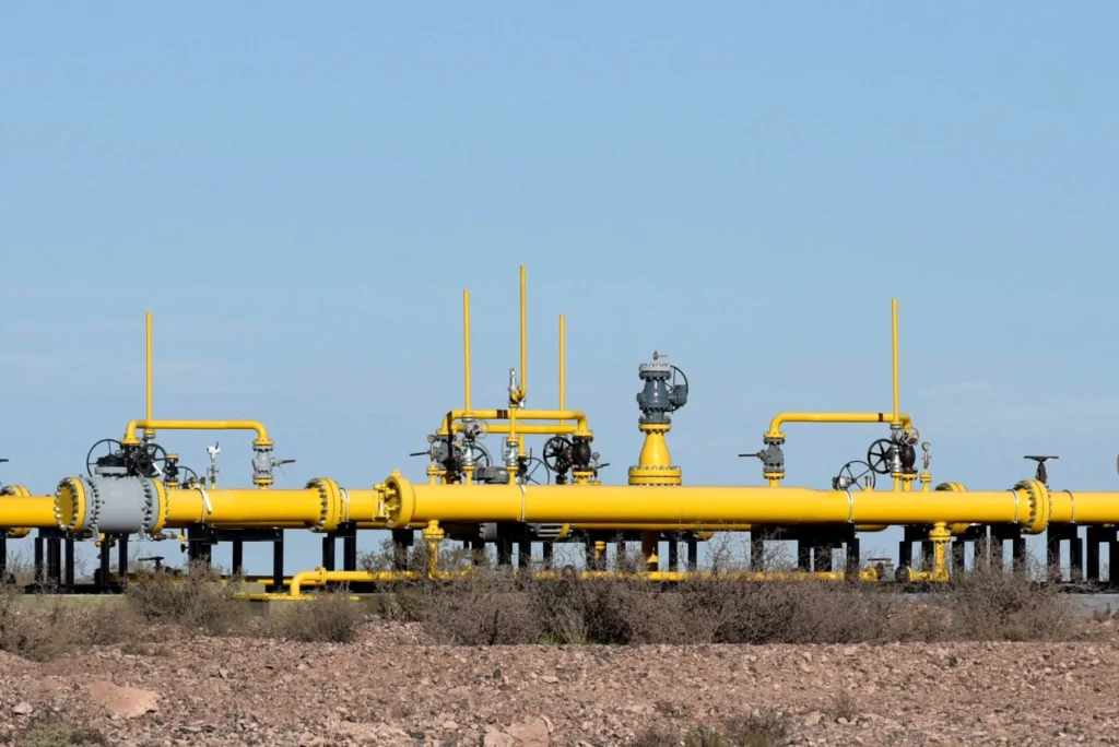 Neuquén prepara un plan plurianual para ampliar el acceso al gas